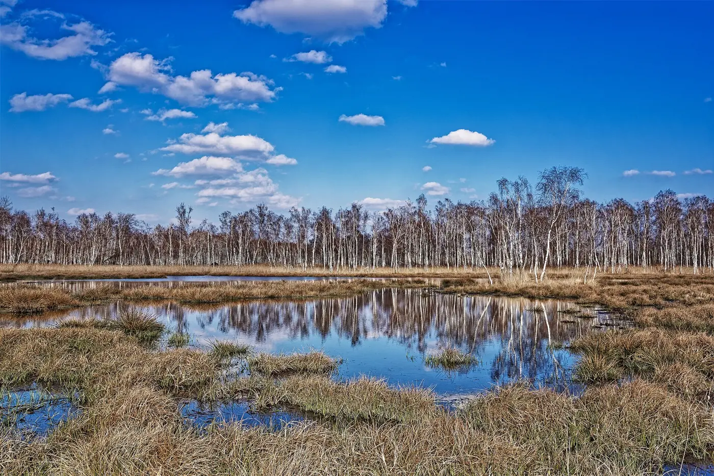 Seewaldsee, Landkreis Oberspreewald-Lausitz