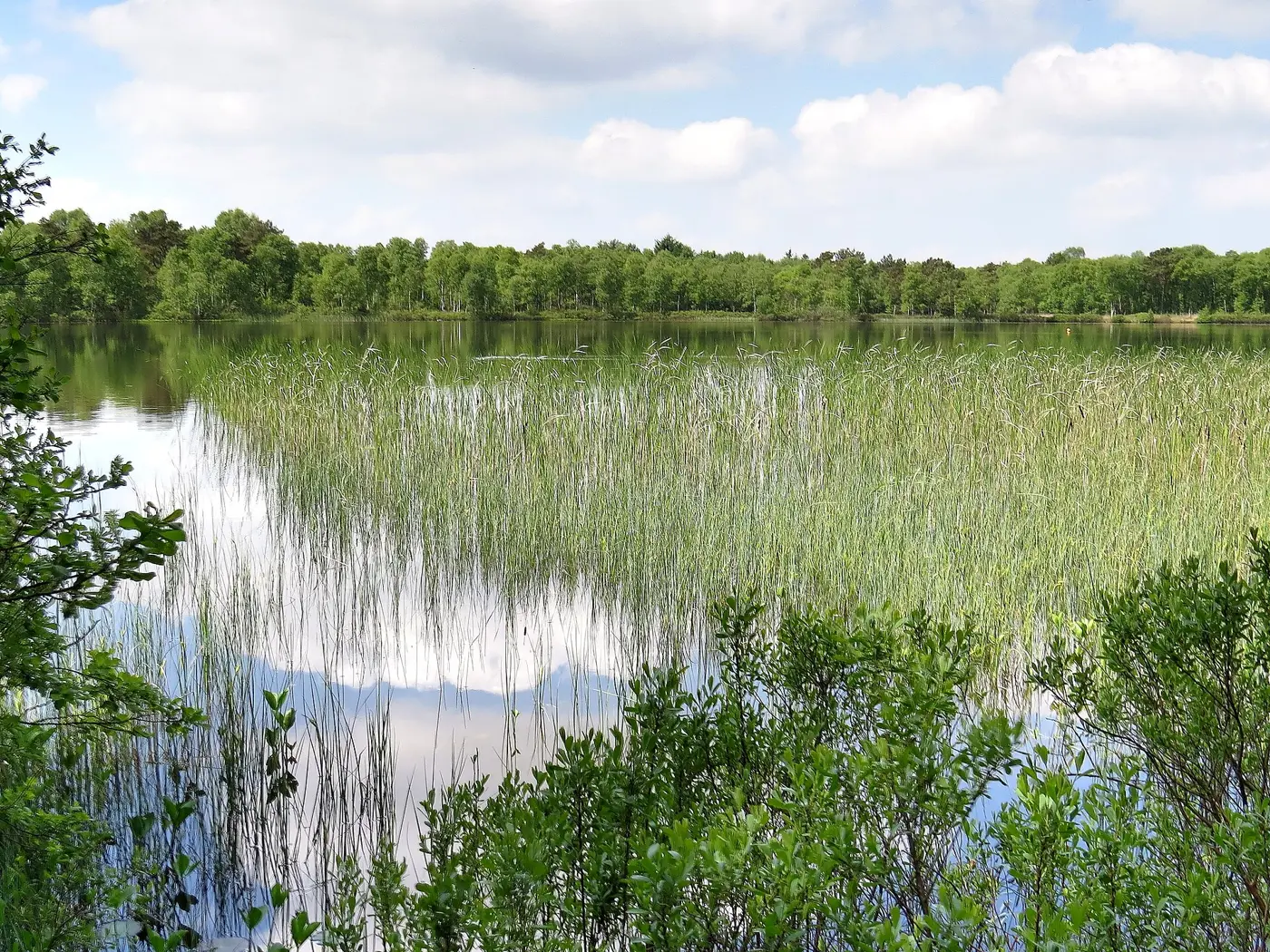 Silbersee, Landkreis Cuxhaven