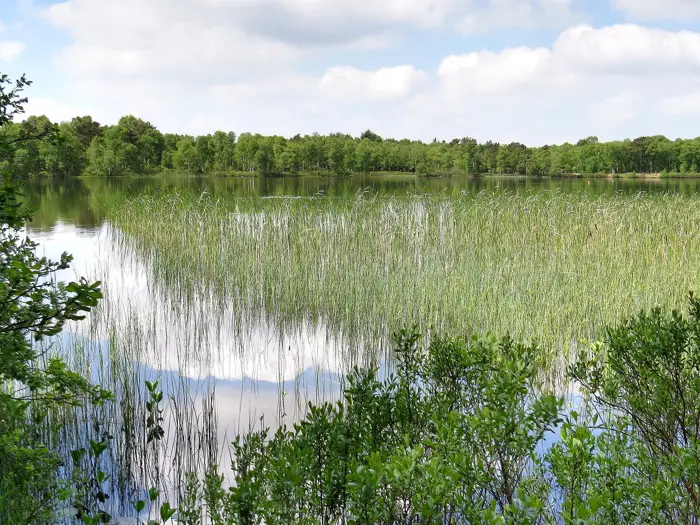 Silbersee, Landkreis Cuxhaven