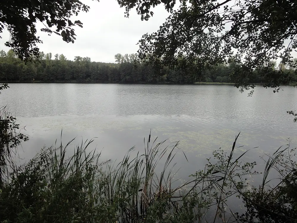 Silbersee, Schwalm-Eder-Kreis