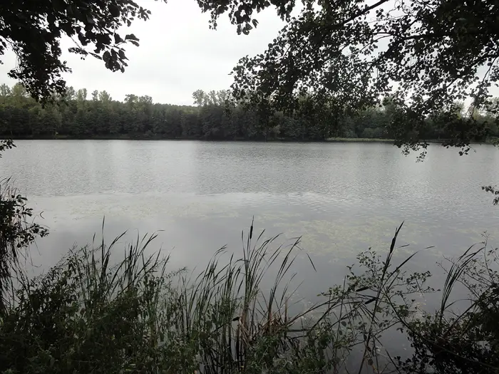 Silbersee, Schwalm-Eder-Kreis