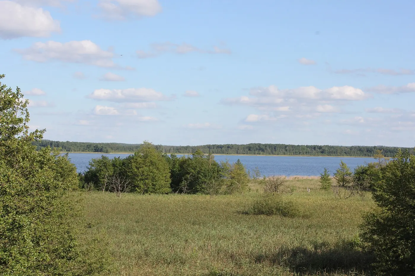 Specker See, Landkreis Mecklenburgische Seenplatte