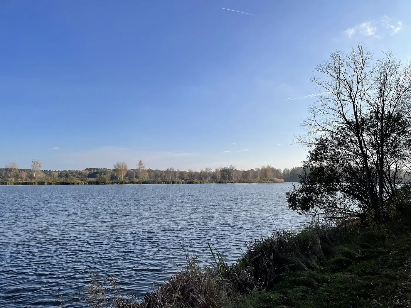 Spreeteich, Landkreis Dahme-Spreewald