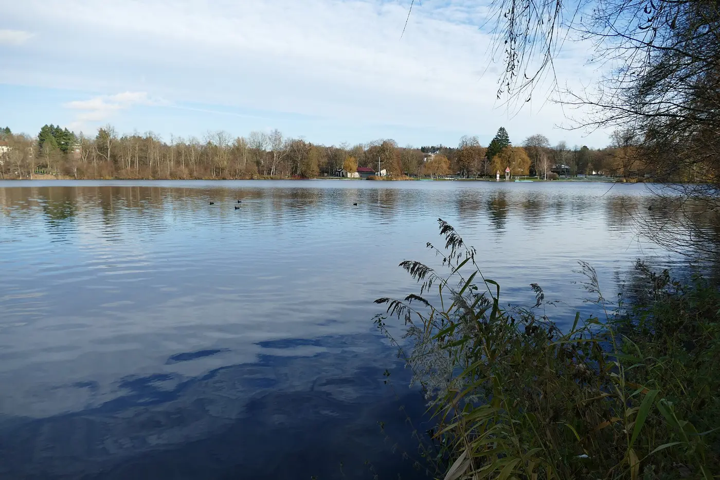 Stadtsee, Landkreis Ravensburg