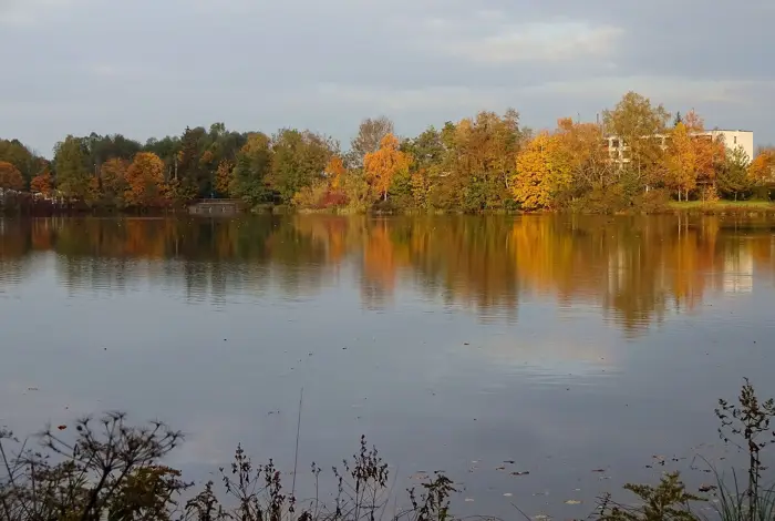 Stadtweiher, Landkreis Ravensburg