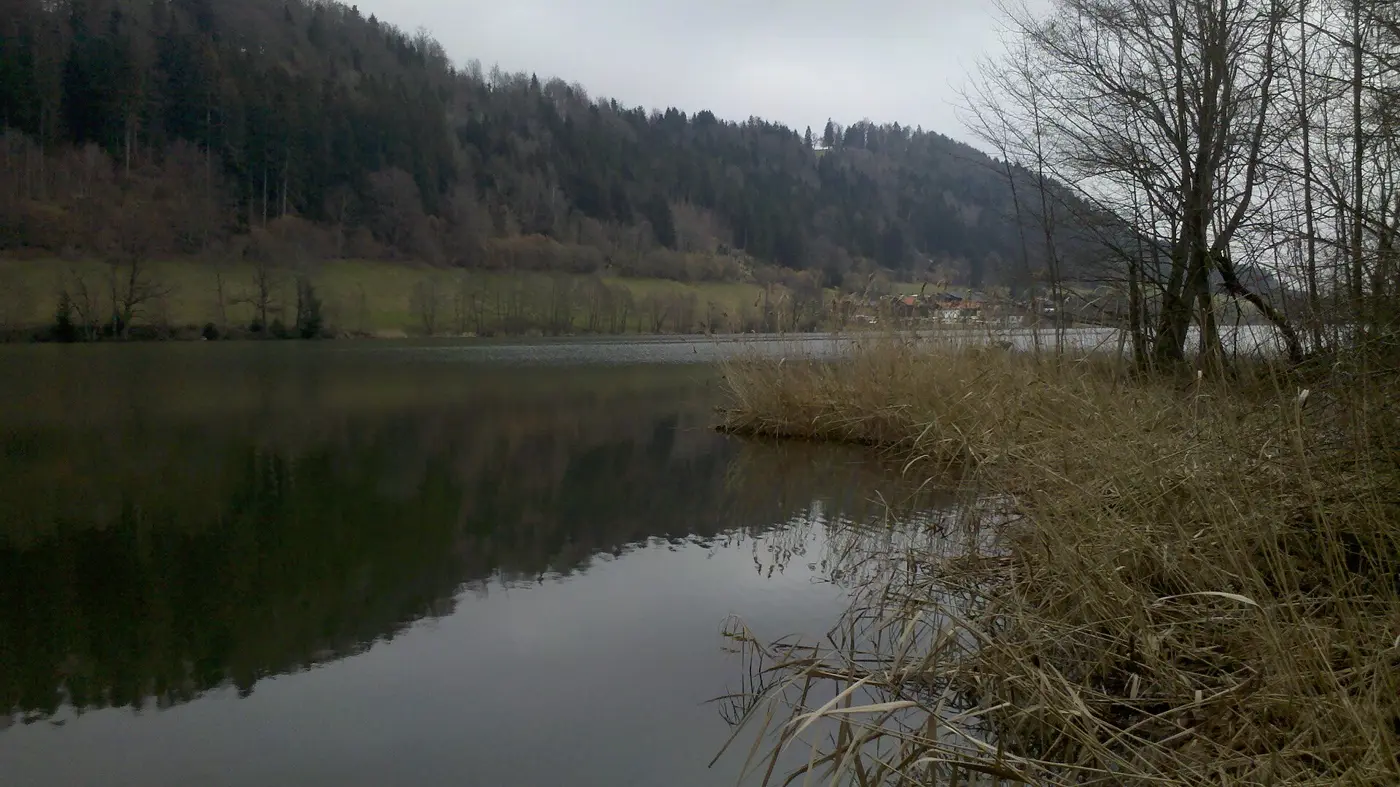 Stallauer Weiher, Landkreis Bad Tölz-Wolfratshausen