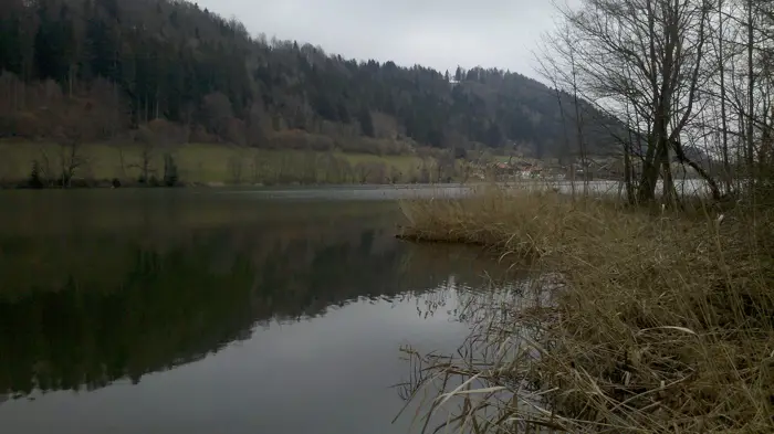 Stallauer Weiher, Landkreis Bad Tölz-Wolfratshausen