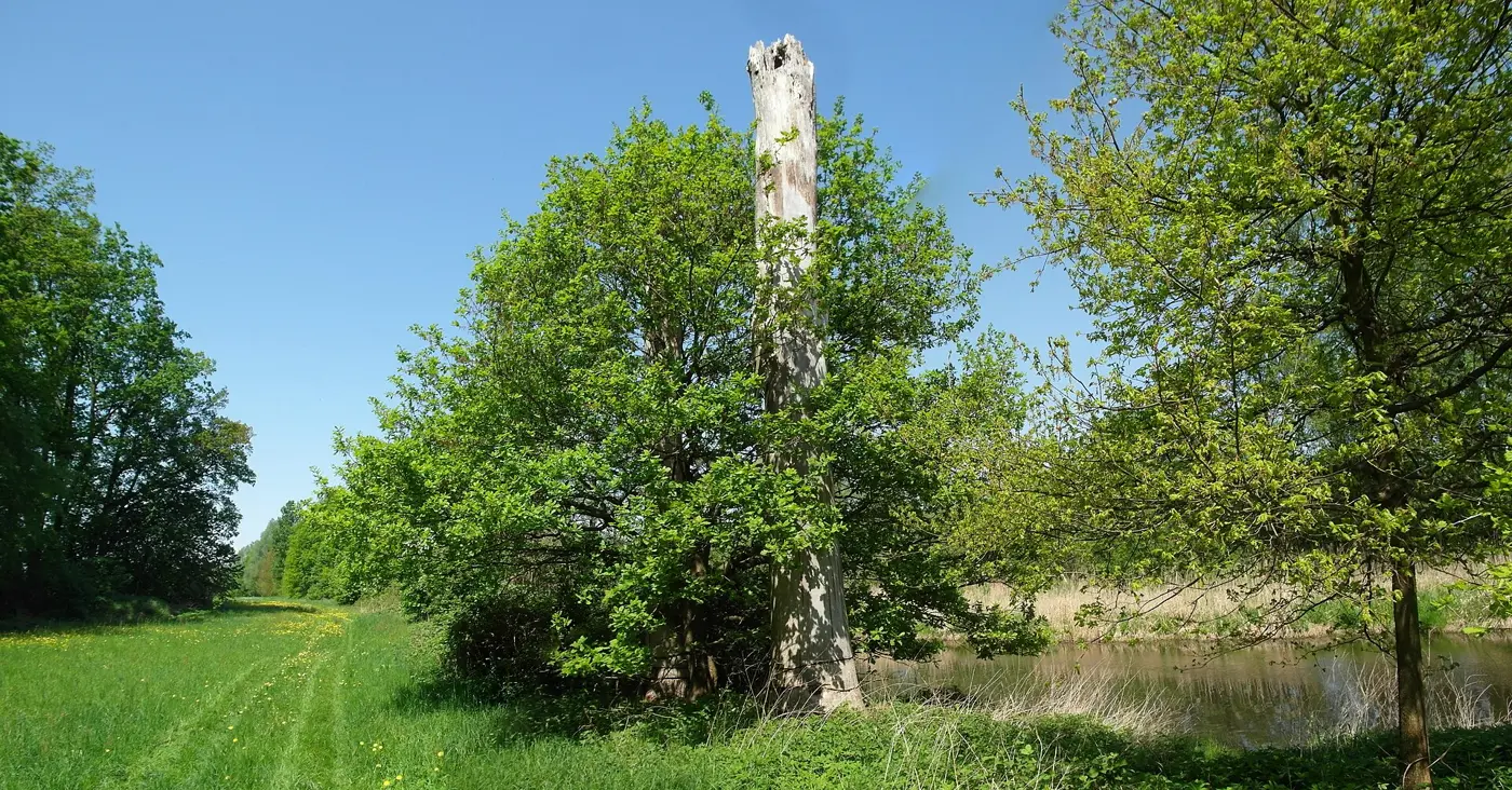 Stausee Radeburg, Landkreis Meißen