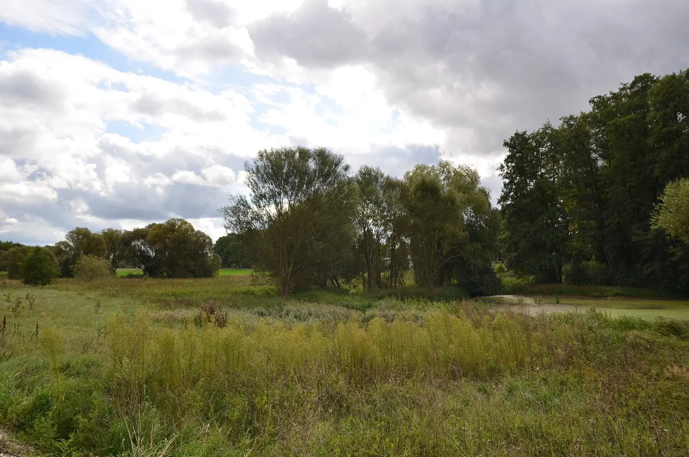 Stockweiher, Landkreis Ravensburg
