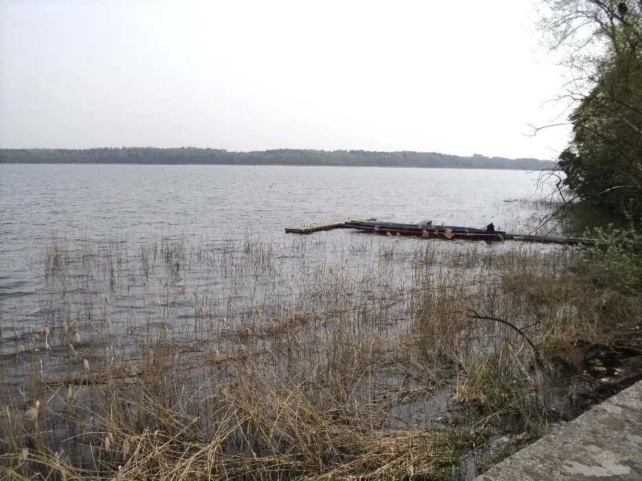 Torgelower See, Landkreis Mecklenburgische Seenplatte