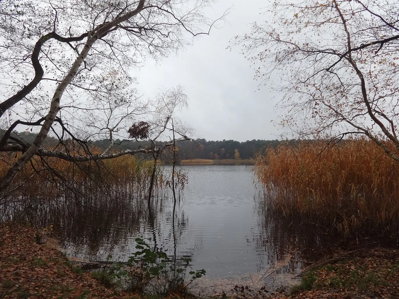 Tornower See, Landkreis Dahme-Spreewald