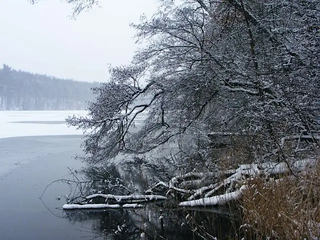 Trebuser See, Landkreis Oder-Spree