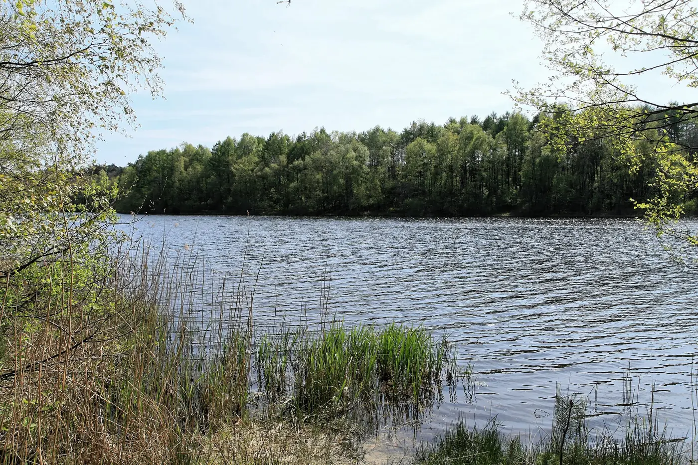 Tunxdorfer Waldsee, Landkreis Emsland