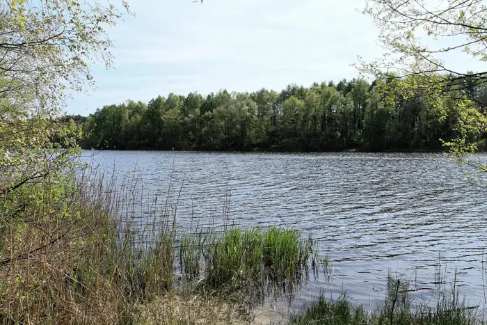 Tunxdorfer Waldsee, Landkreis Emsland