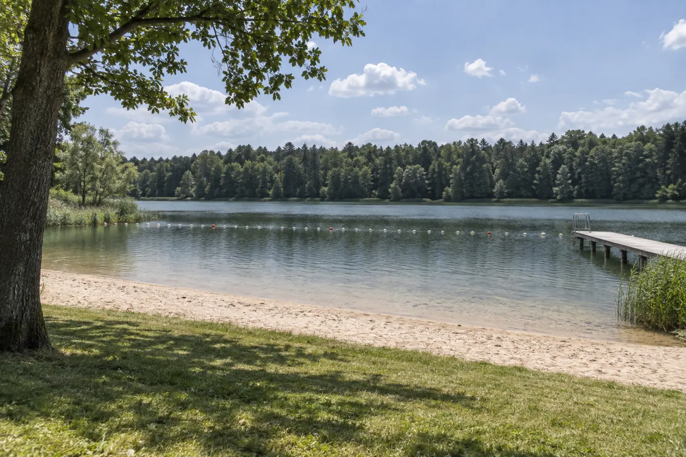 Badesee Lindewitt, Kreis Schleswig-Flensburg (Typbild)