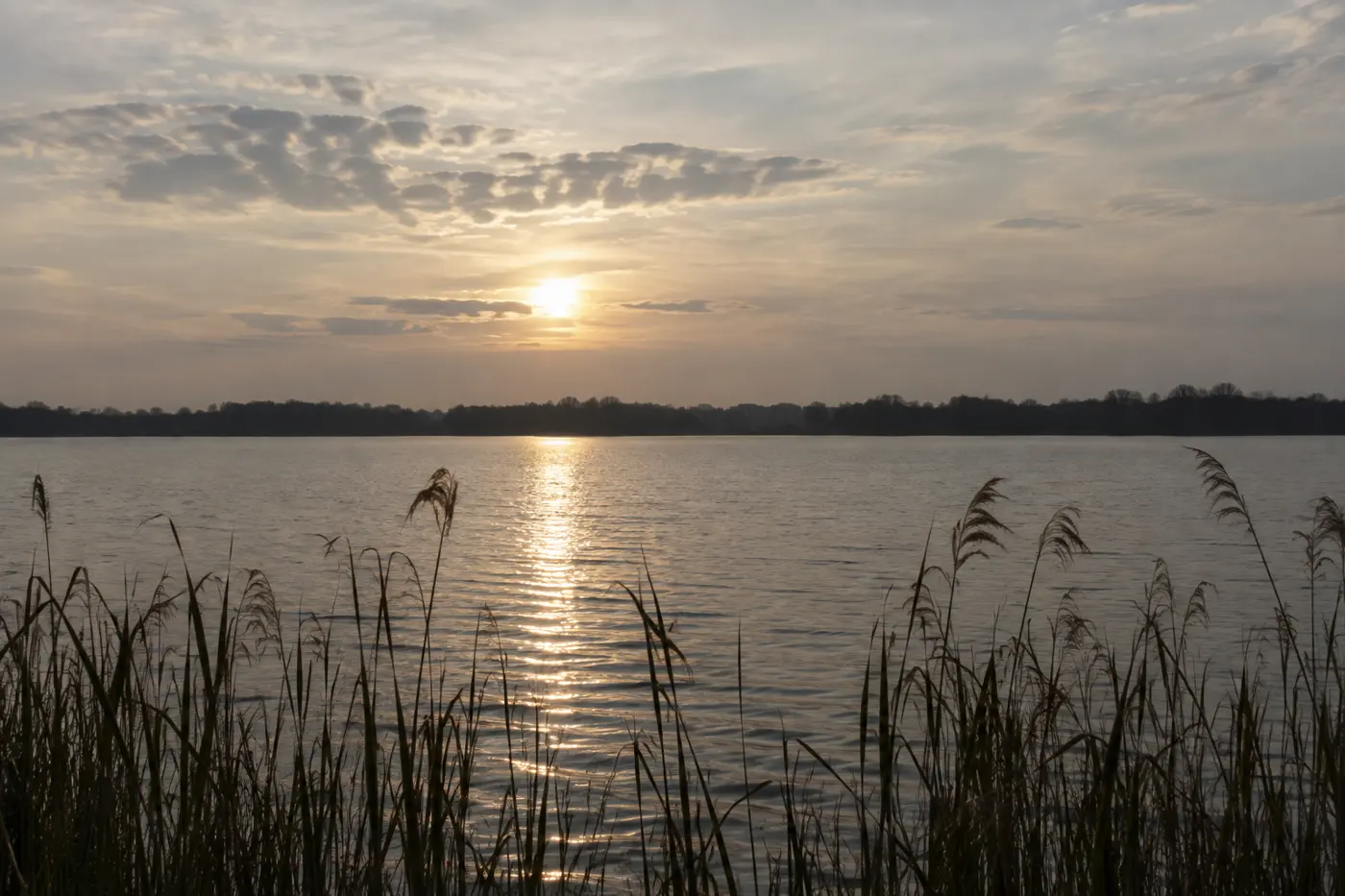 Waldstich, Landkreis Oberhavel (Typbild)
