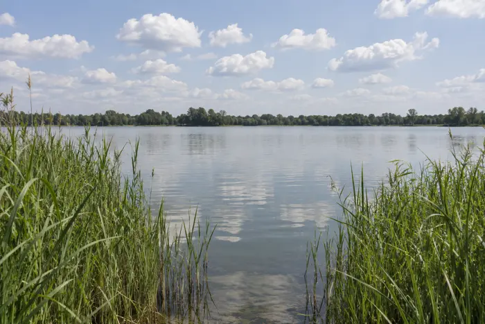 Sommerbad Volksdorf, Hamburg (Typbild)