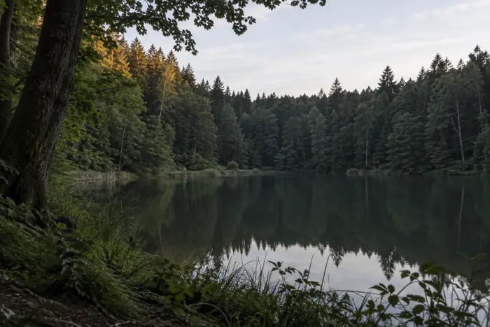 Sollachsee, Landkreis Germersheim (Typbild)