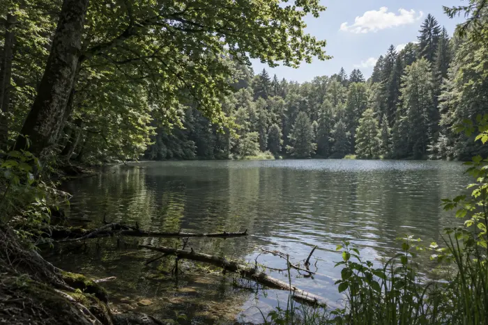 Unterer Vogelstangsee, Mannheim (Typbild)