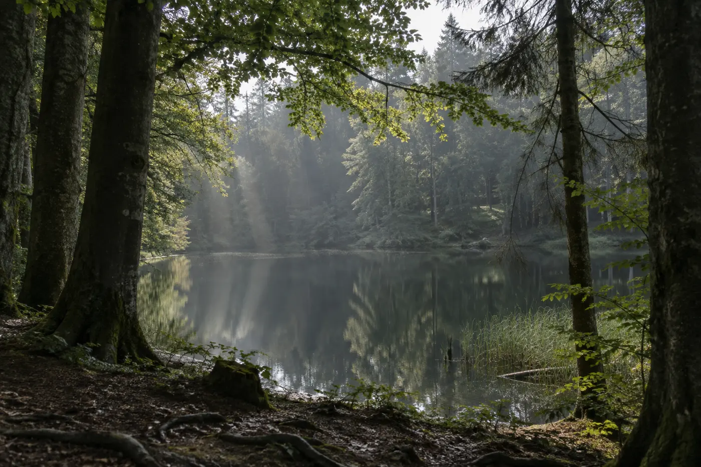 Felsensee, Salzlandkreis (Typbild)