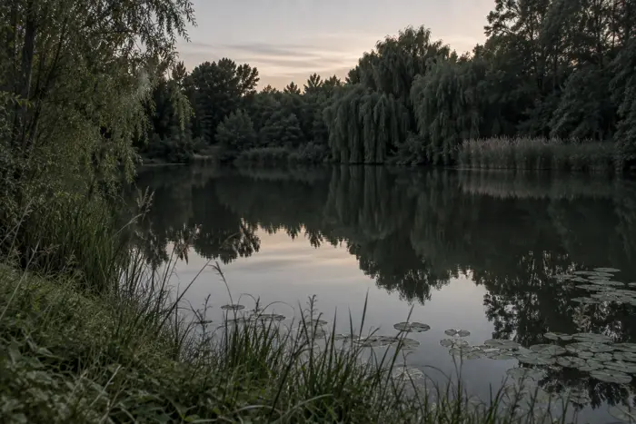 Hinterer Gotthardteich, Saalekreis (Typbild)