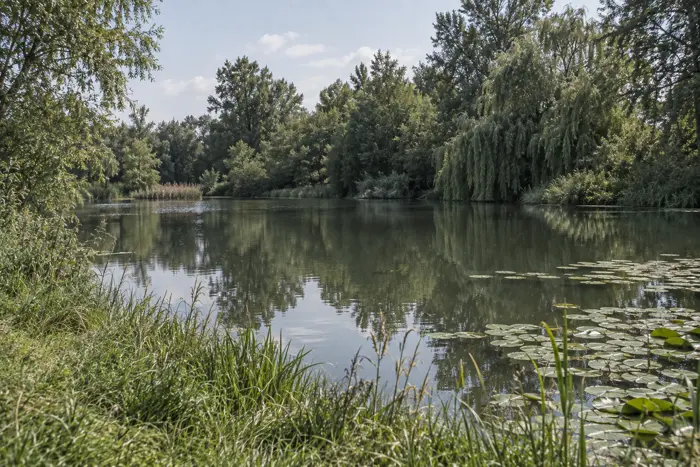 Kennelteich, Braunschweig (Typbild)