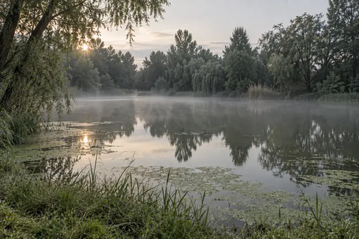 Vorderer Gotthardteich, Saalekreis (Typbild)