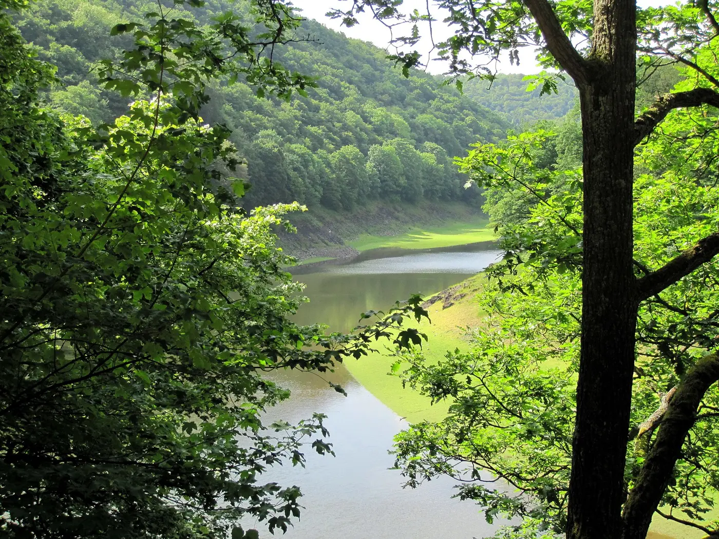 Urftsee, Kreis Euskirchen
