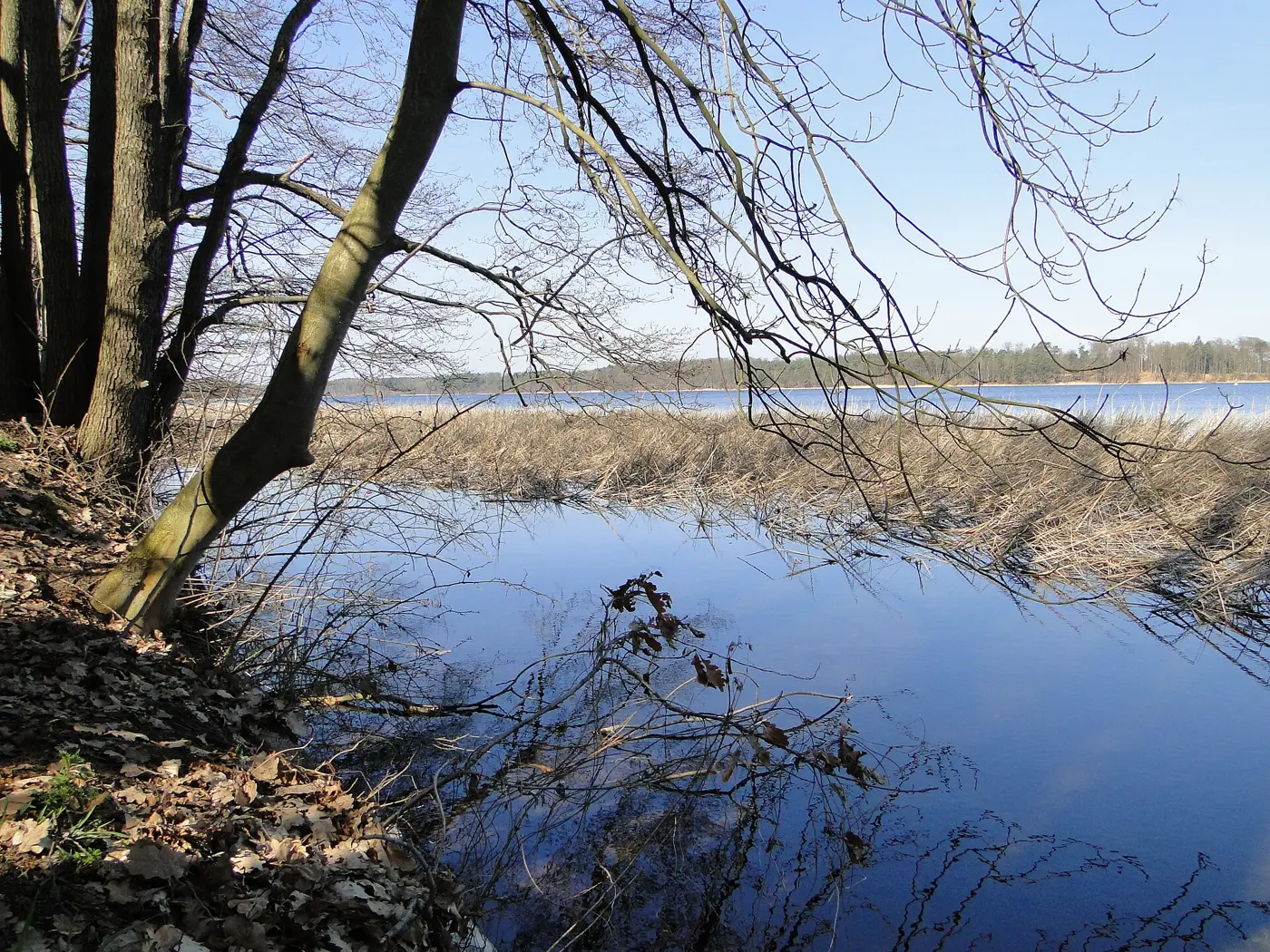 Vilzsee, Landkreis Mecklenburgische Seenplatte