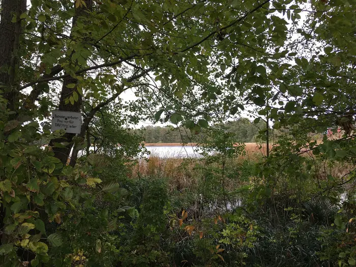 Vordersee, Landkreis Teltow-Fläming