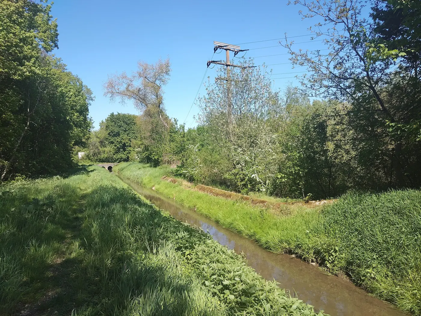 Waidsee, Rhein-Neckar-Kreis