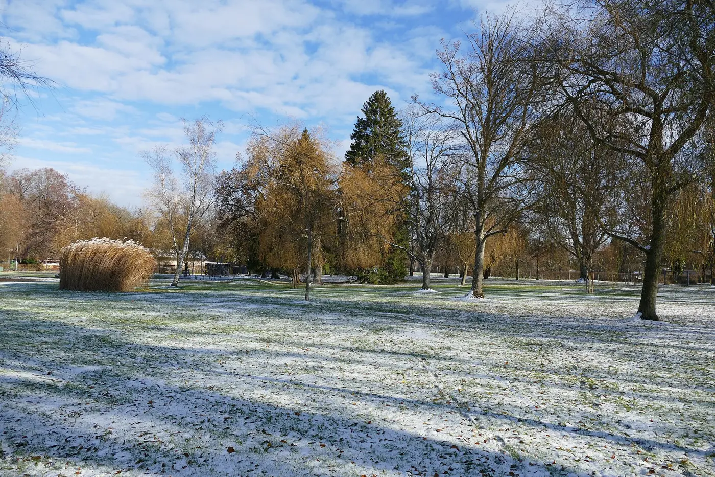 Waldsee, Landkreis Emmendingen