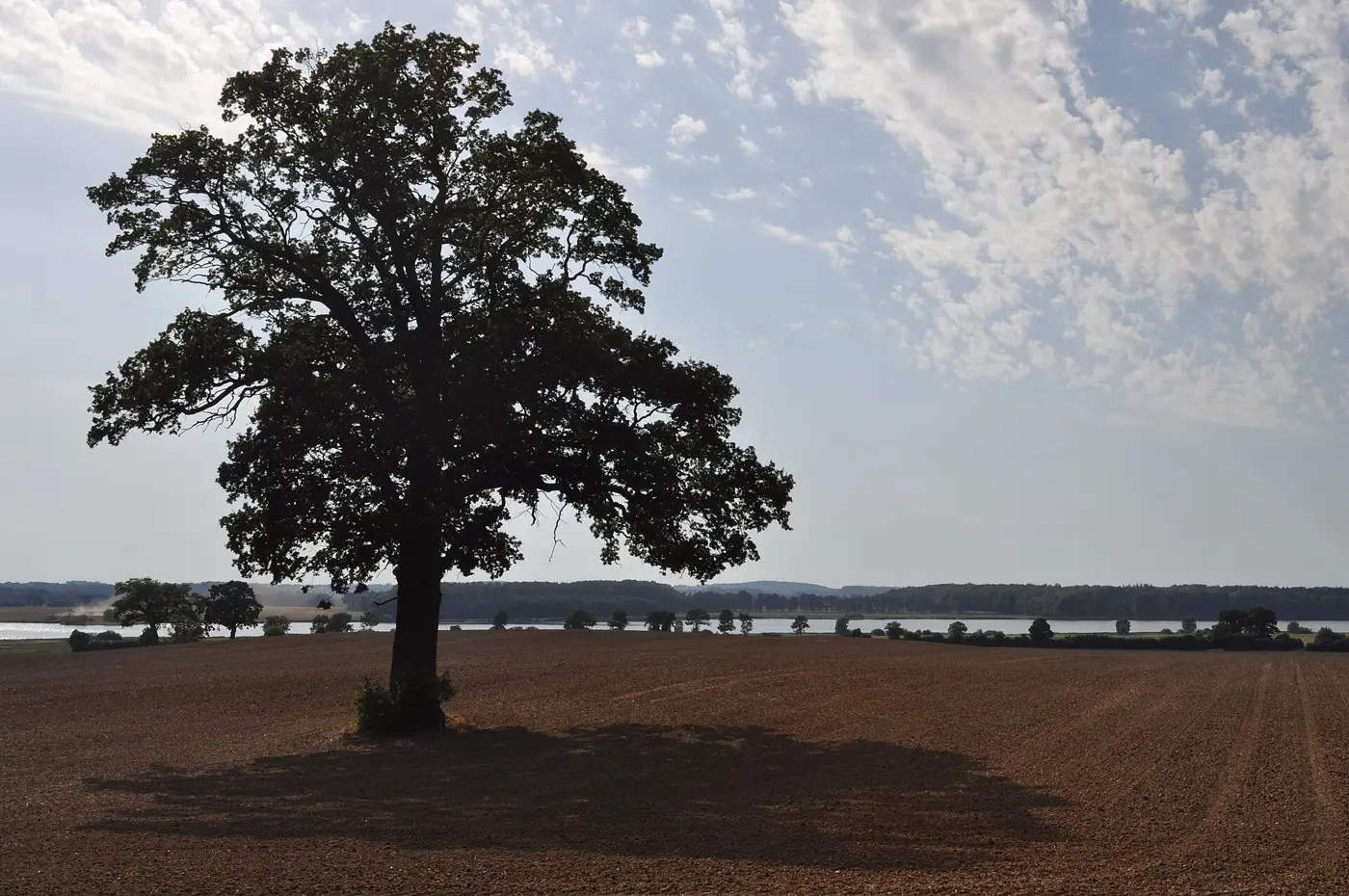 Wardersee, Kreis Segeberg