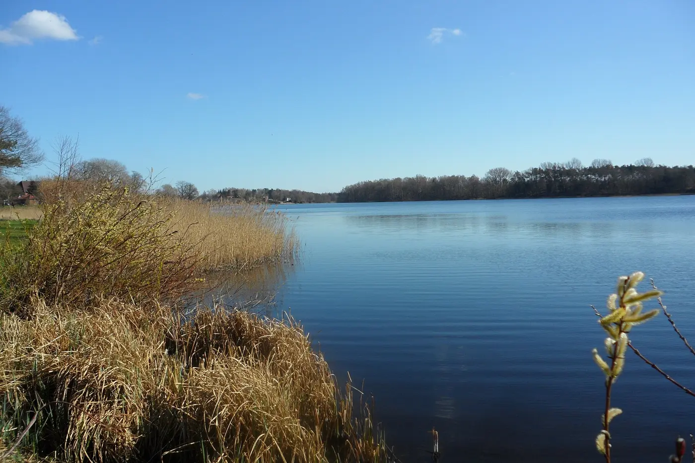 Wardersee, Kreis Rendsburg-Eckernförde