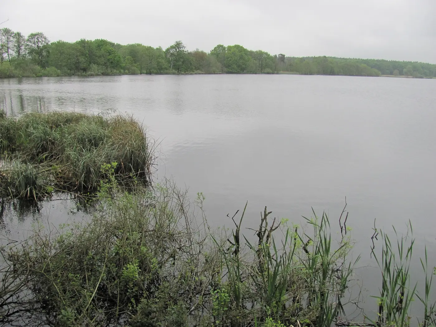 Warnker See, Landkreis Mecklenburgische Seenplatte