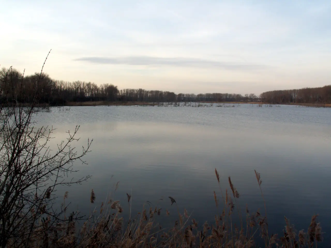 Wilsleber See, Salzlandkreis
