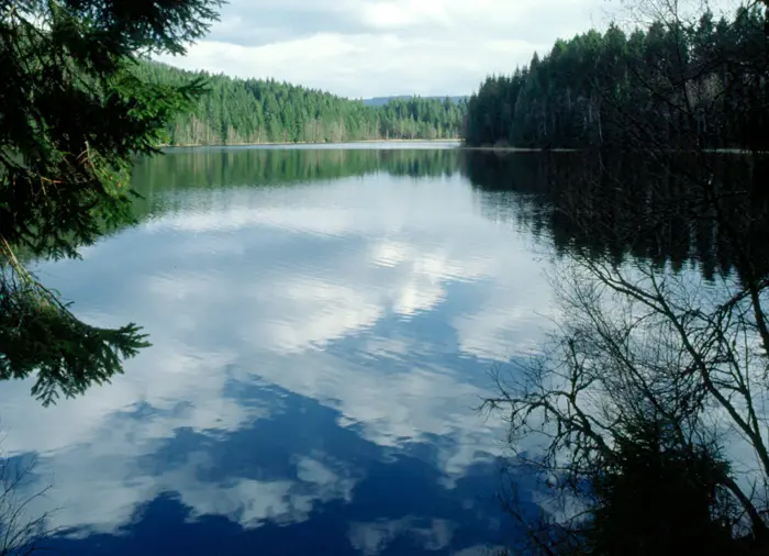 Windgfällweiher, Landkreis Breisgau-Hochschwarzwald