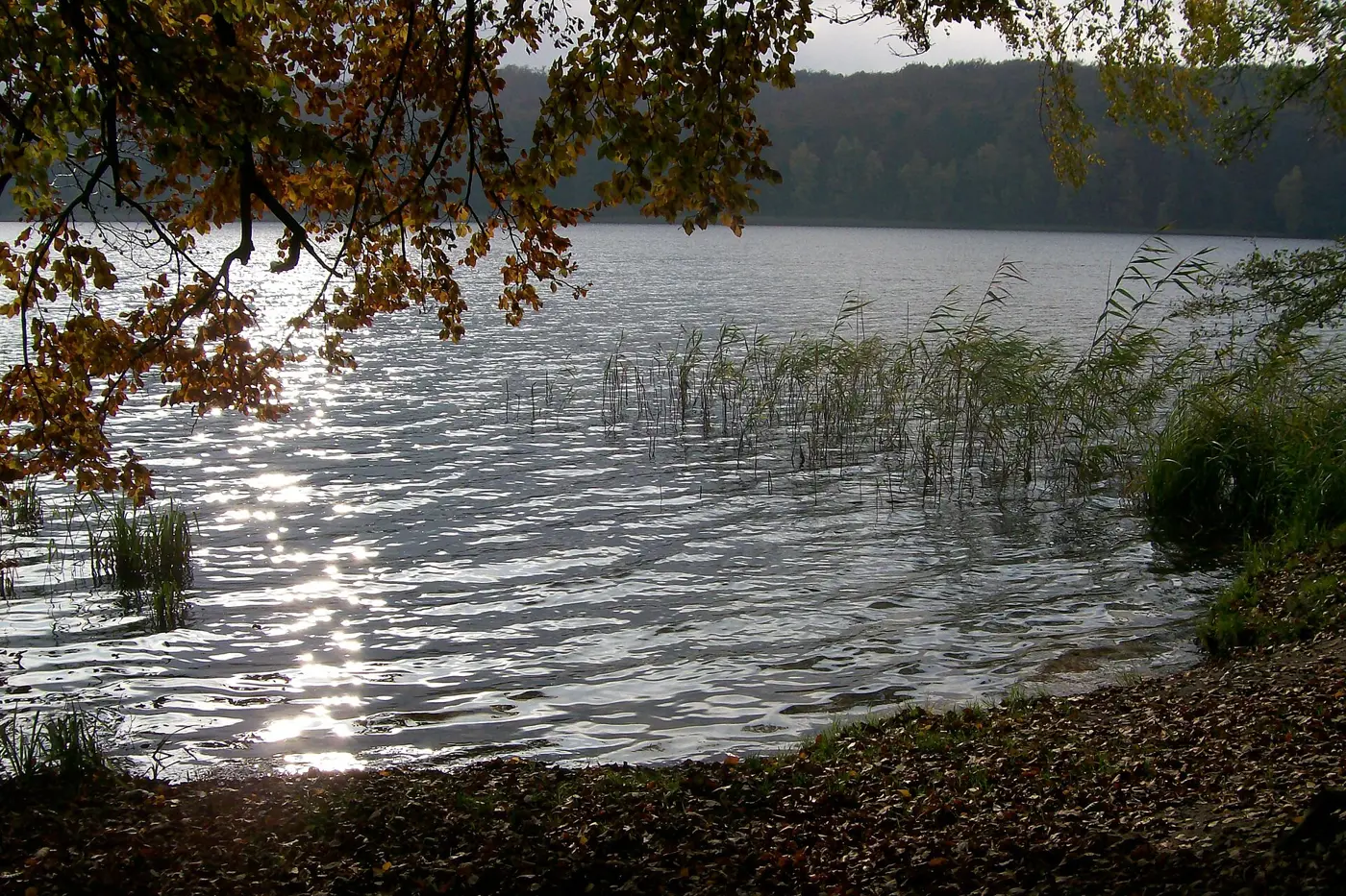 Wolgastsee, Landkreis Vorpommern-Greifswald