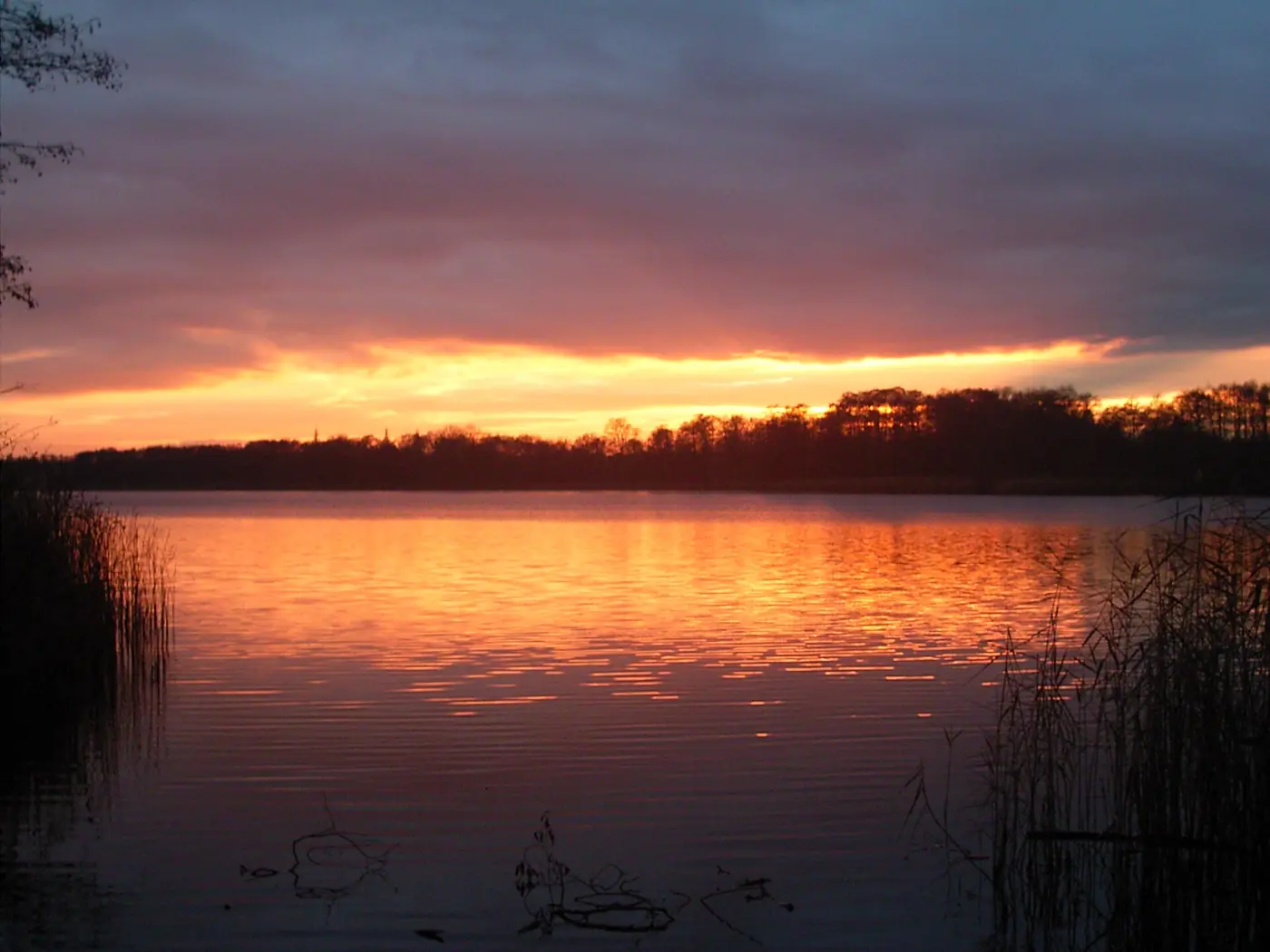 Zeesener See, Landkreis Dahme-Spreewald