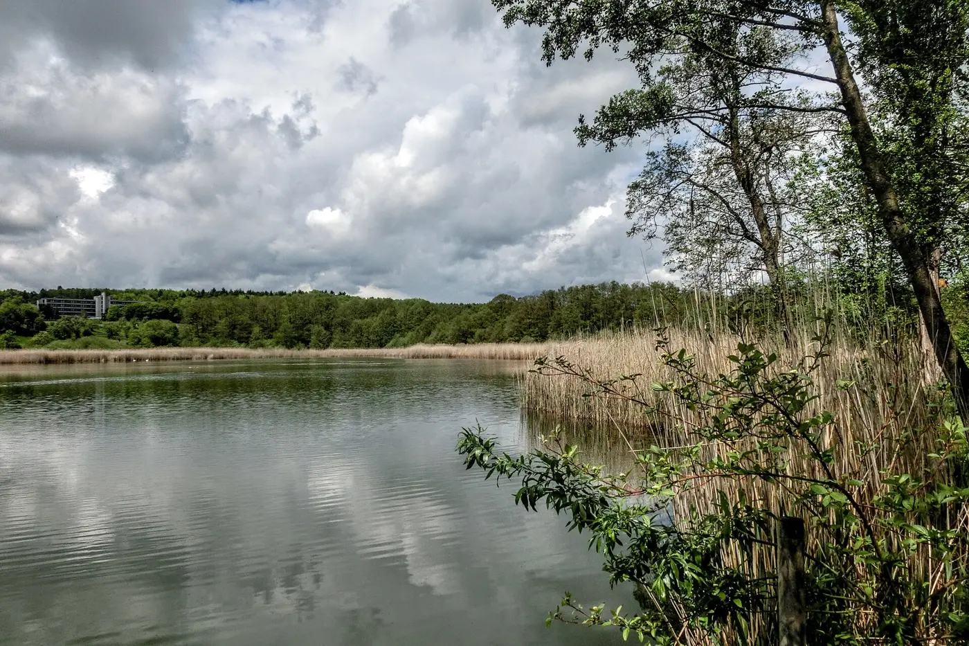 Zellersee, Landkreis Biberach