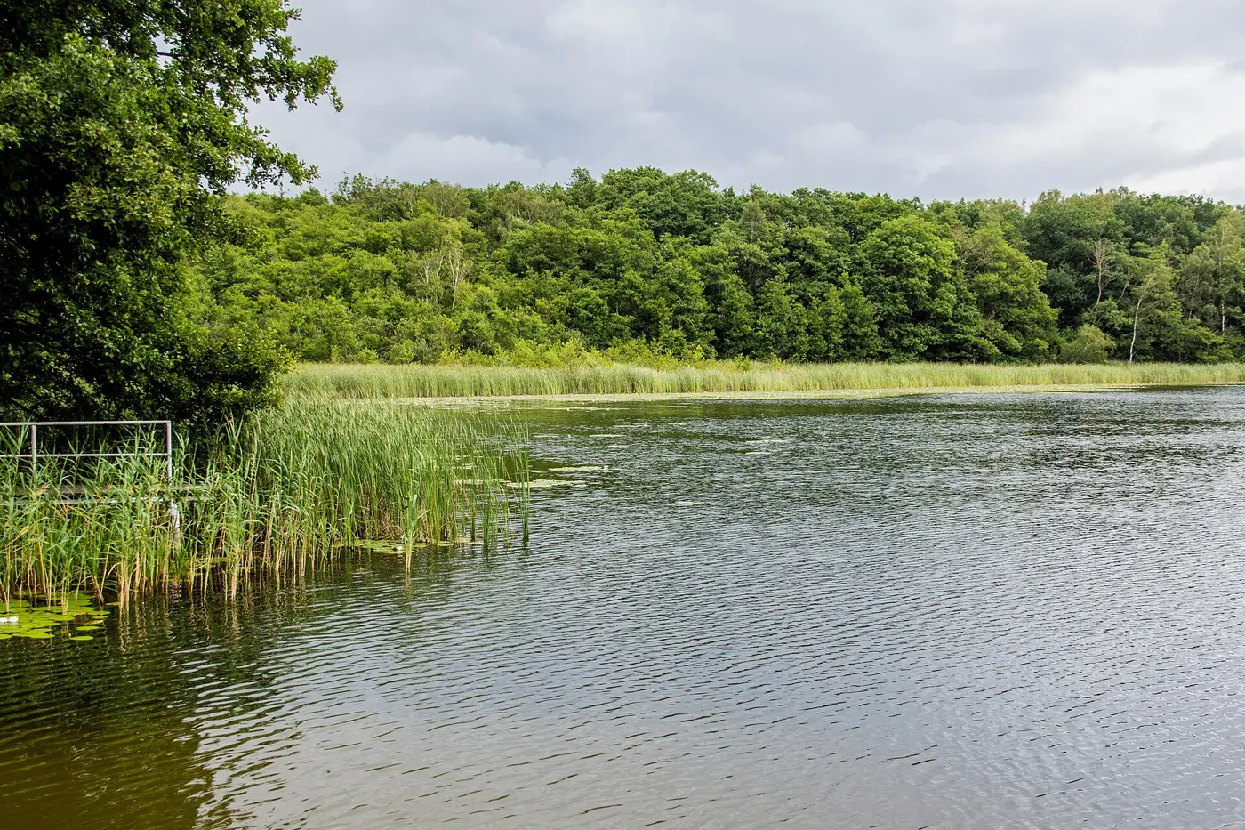 Zierker See, Landkreis Mecklenburgische Seenplatte